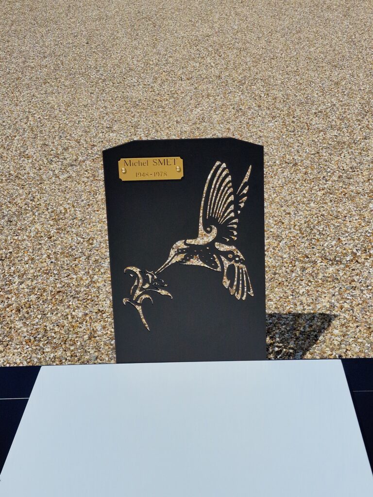 COLIBRI (2)
