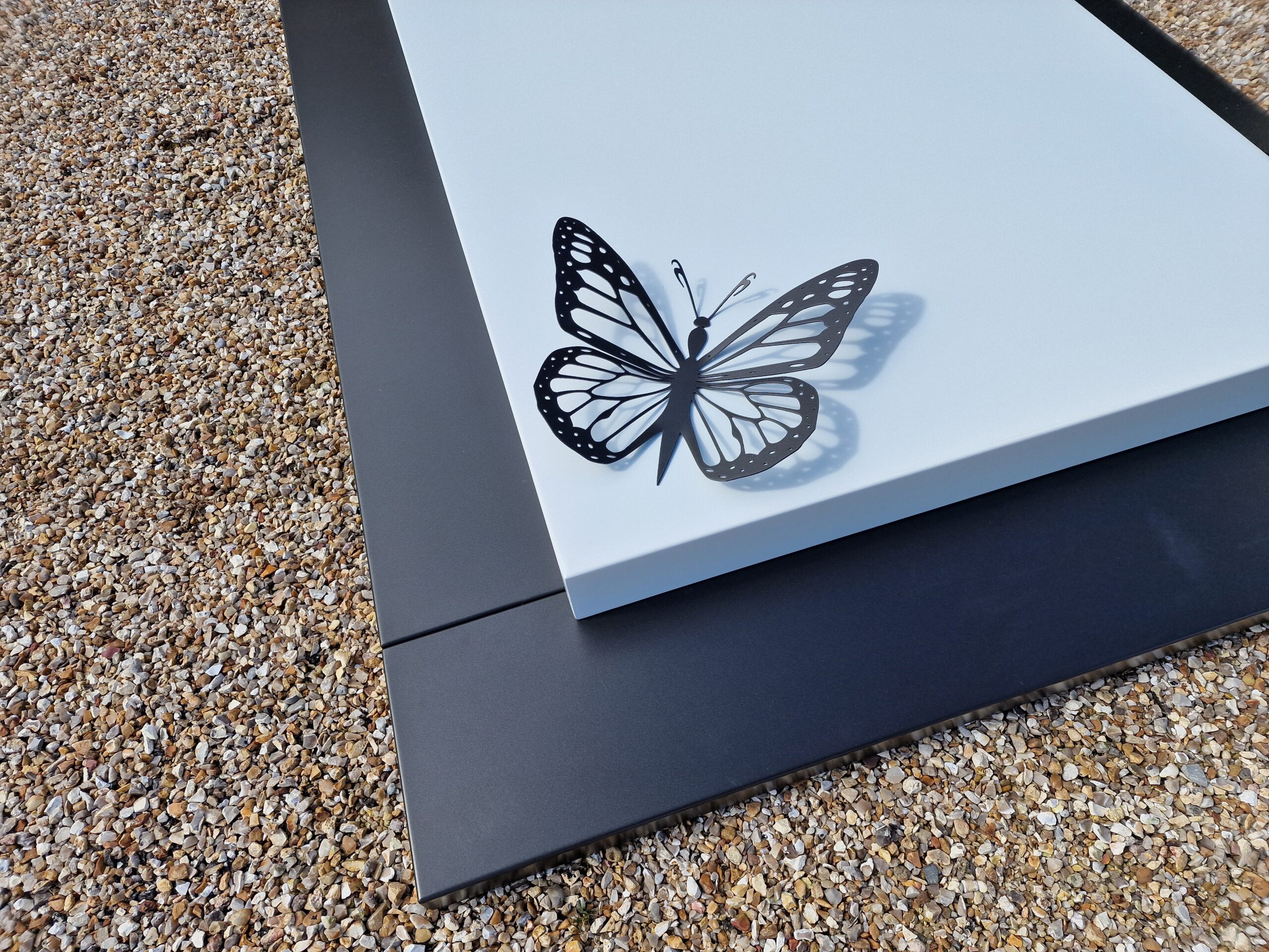 Papillon